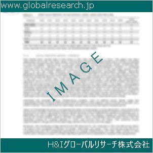 グローバルリサーチ調査資料のイメージ
